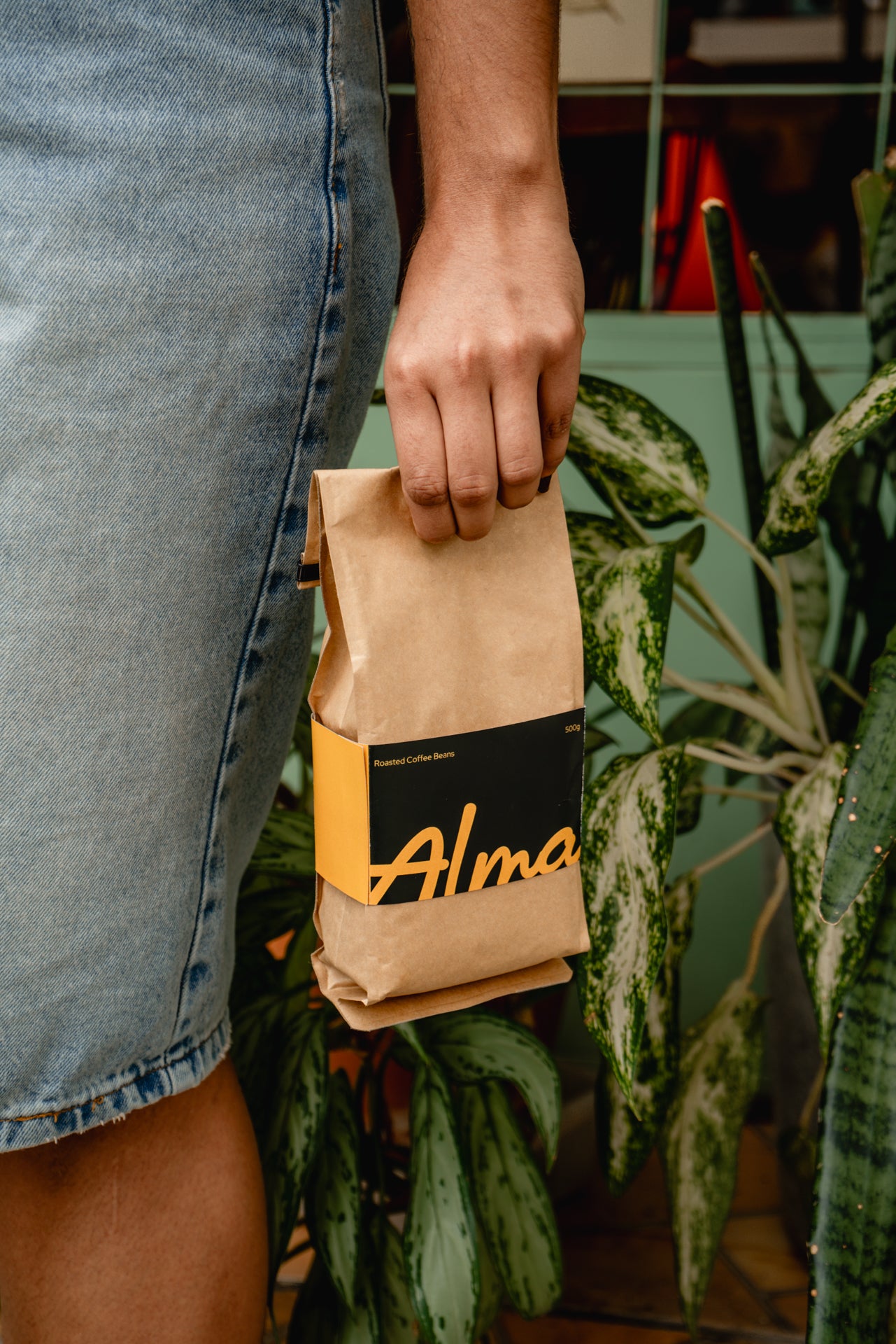 Alma Single Origin - Catiguá Farm - Brazil - Filter Roast